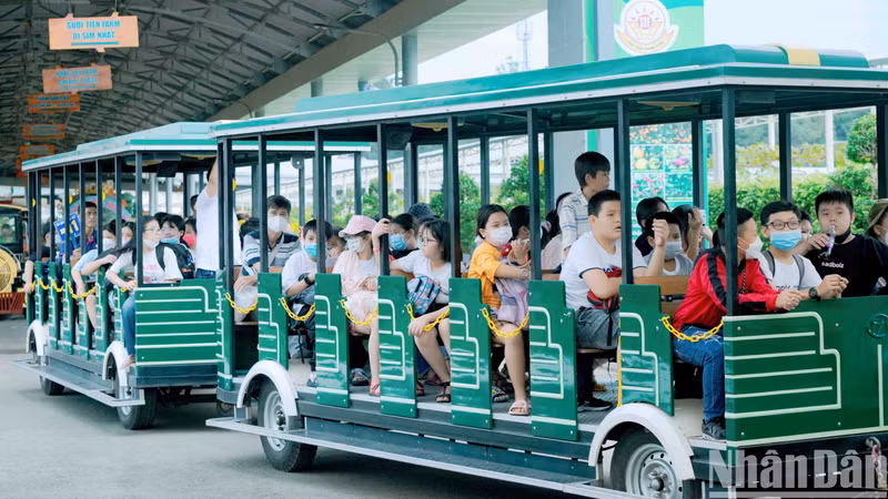 胡志明市众多娱乐场所吸引游客。