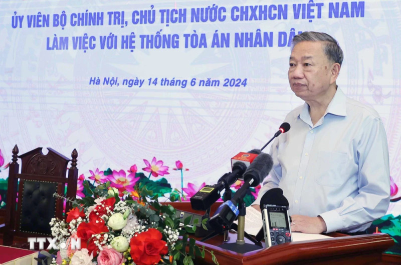 苏林主席在会上发表讲话。（图片来源：越通社）