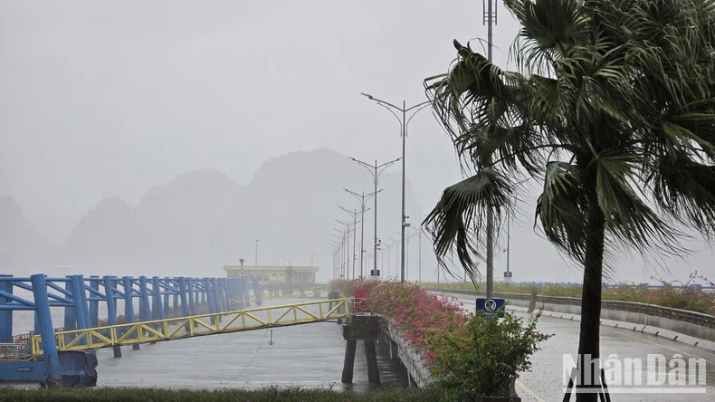 今天上午9时，广宁省下龙市雨势加大。