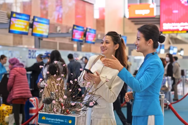 越航在2024年甲辰春节期间推出桃花和梅花运输服务。（图片来源：越通社）