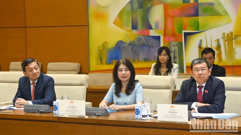 越南代表团出席会见。