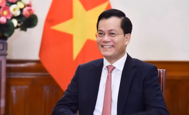 越南外交部副部长何金玉。