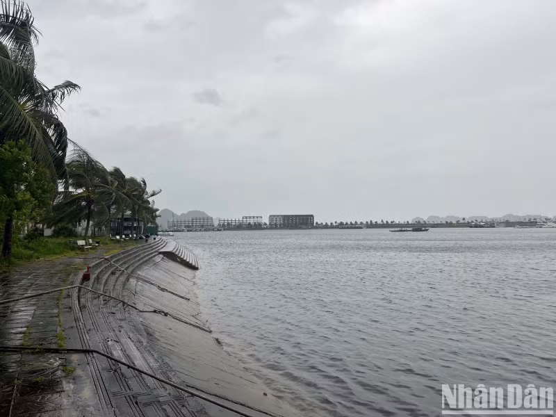 为做好台风防治工作，广宁省成立了7个工作组，检查该地区应对3号台风的准备情况。