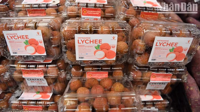 越南荔枝颇受泰国消费者欢迎。