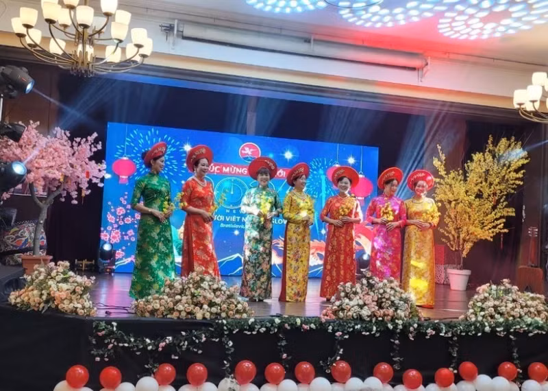 2024年“家乡之春”活动在斯洛伐克举行。（图片来源：越通社）