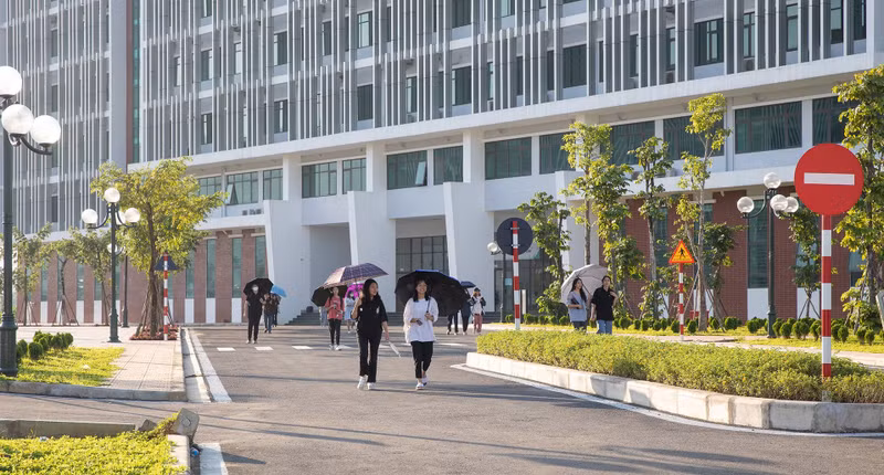 河内国家大学在2024年世界大学网络排名上升 。