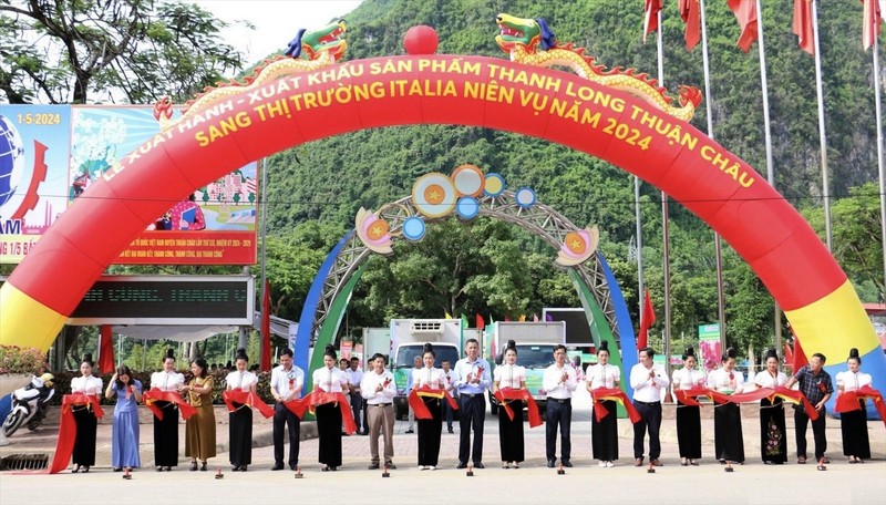 山罗省顺州县举行仪式， 向意大利市场出口首批红肉火龙果产品。