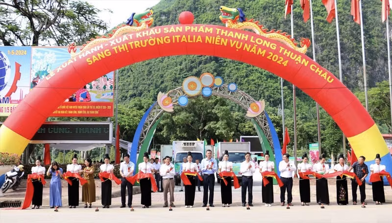 山罗省顺州县举行仪式， 向意大利市场出口首批红肉火龙果产品。