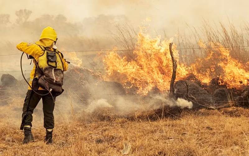 阿根廷因天气干燥而引发森林火灾。（图片来源：路透社）
