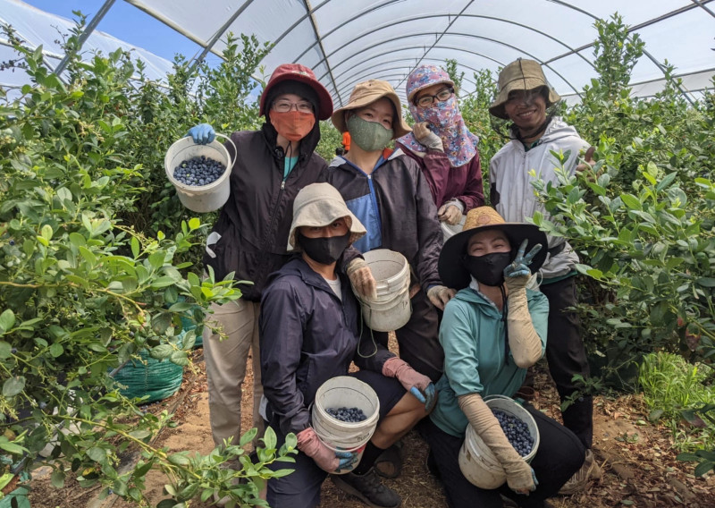 持403签证在澳大利亚工作的劳动者每个月基本工资约为4030澳元。