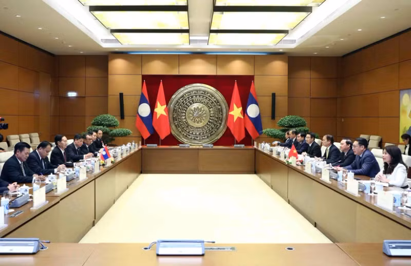 会谈场景。（图片来源：越通社）