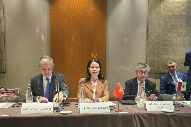 越南外交部副部长阮明姮出席会议。