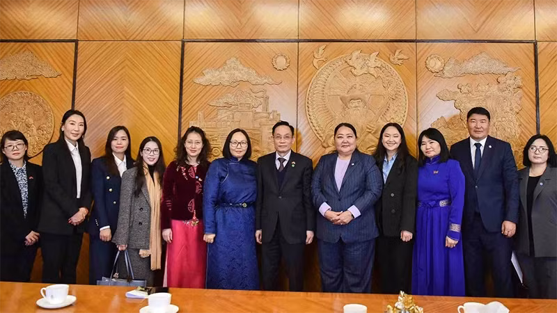 越共中央对外部部长黎怀忠会见蒙古国民主党副主席贝·德勒格尔玛 。（图片来源：越通社）