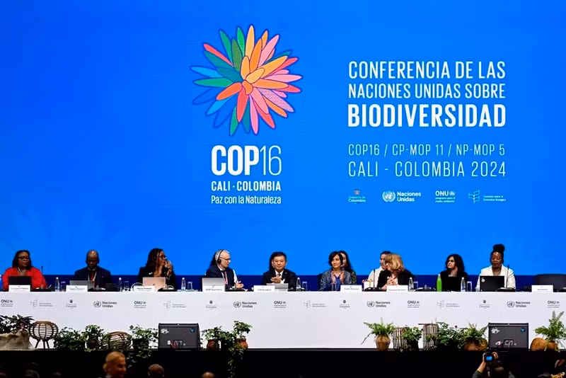 联合国《生物多样性公约》第十六次缔约方大会在哥伦比亚卡利举行。（图片来源：新华社/越通社）