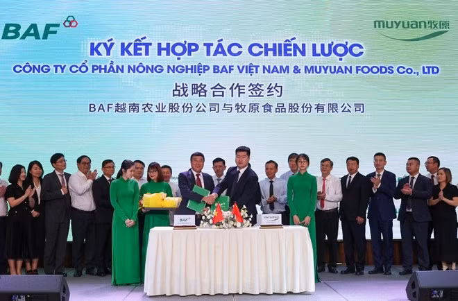 BAF越南与中国牧原领导签署战略合作协议。