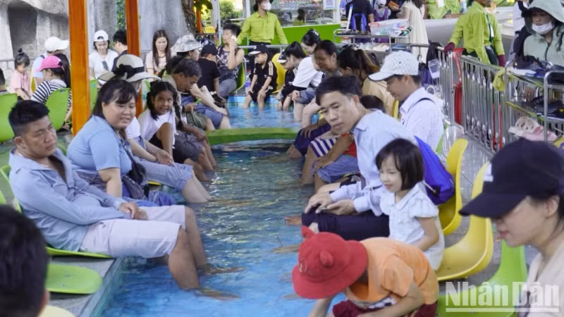 游客参加鱼疗体验。