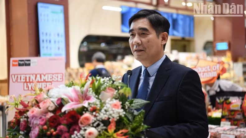 越南驻泰国大使范越雄在活动上发表讲话。