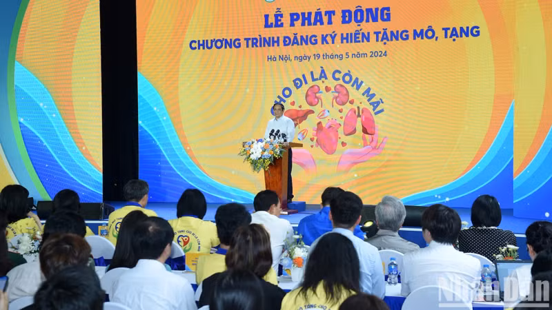 启动仪式场景。