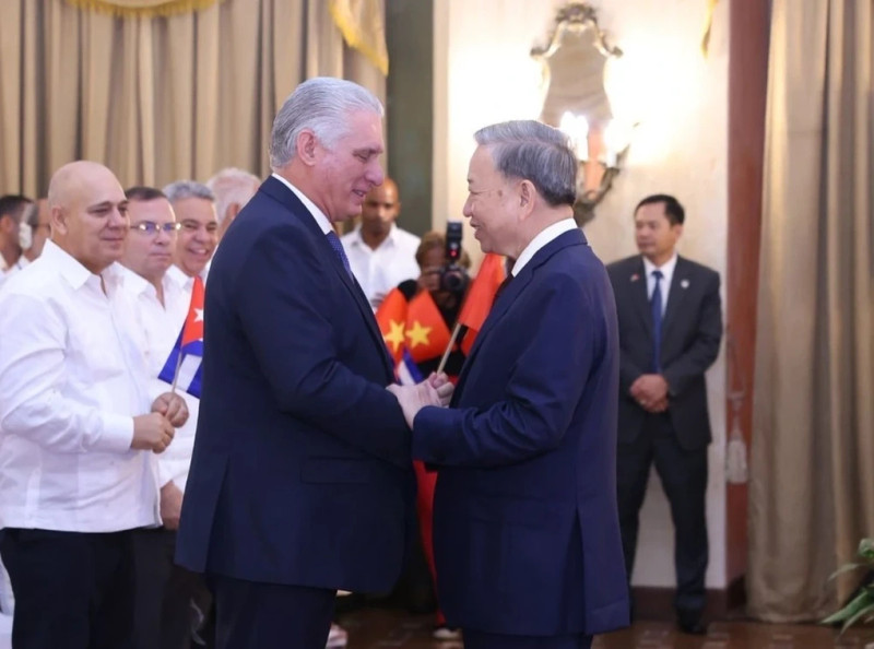 越共中央总书记、国家主席苏林和古巴共产党中央委员会第一书记、古巴国家主席米格尔·迪亚斯-卡内尔·贝穆德斯。（图片来源：越通社）