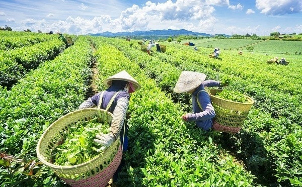附图。