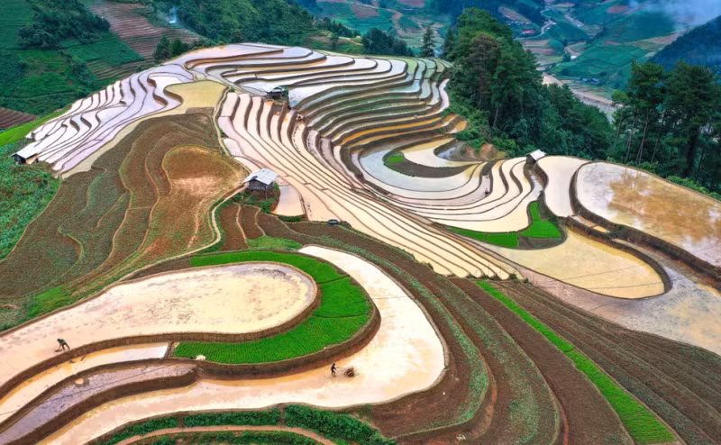 进入注水季节的一片片梯田美如画。
