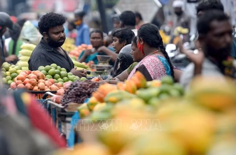 附图。（图片来源：越通社）