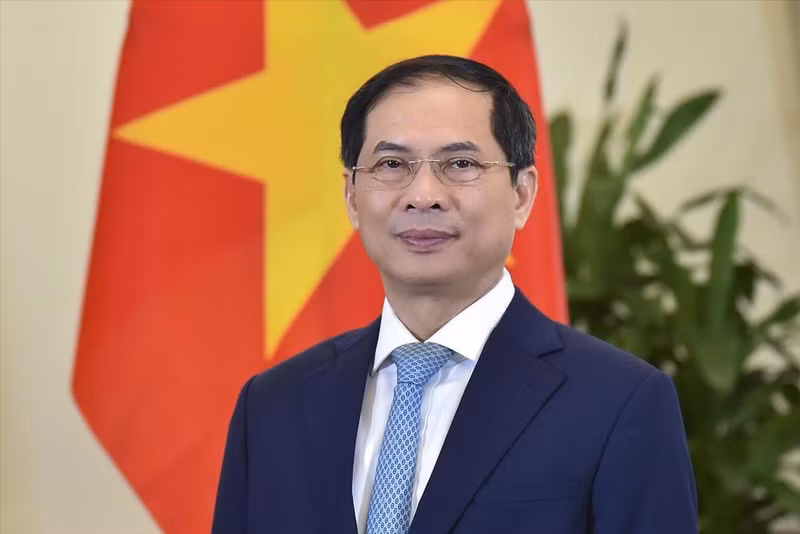 越南外交部长裴青山。（图片来源：越通社）