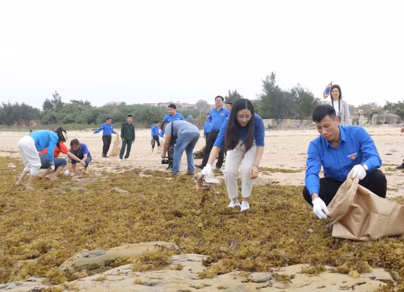 附图。（图片来源：青年报）