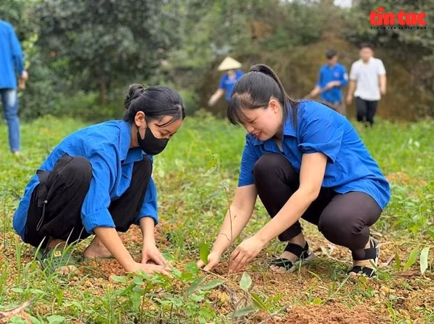 越南全国青年实施了超过9.4万个各级青年项目，比登记项目多8万多个项目。
