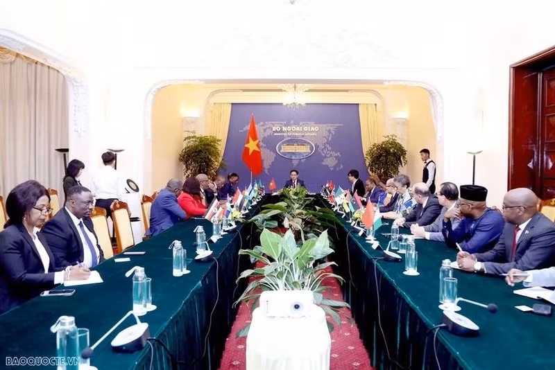 越南外交部副部长杜雄越在河内会见非洲各国大使代表团。（图片来源：《国际报》）