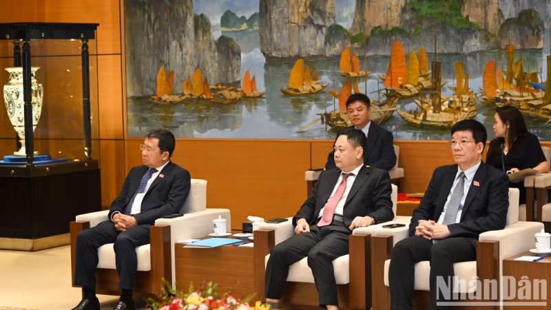 越方代表出席会见。