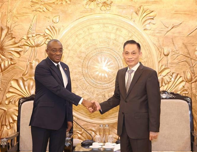 越共中央书记处书记、中央对外部部长黎怀忠与科特迪瓦执政党乌弗埃主义者民主和平联盟常务委员会委员苏马霍罗。（图片来源：越通社）