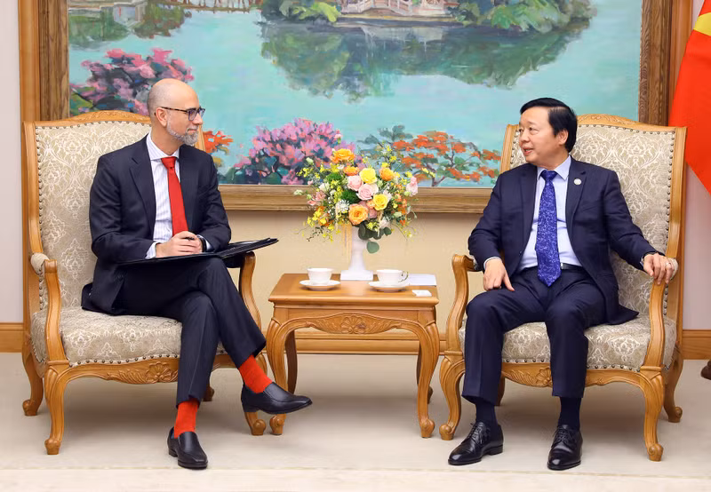 越南政府副总理陈红河会见加拿大驻越南大使肖恩·佩里·施泰尔。（图片来源：越通社）