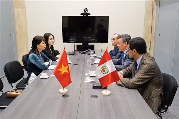 范氏金花大使与秘鲁外交部长举行工作会谈。