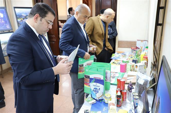 许多埃及企业对越南商品特别是农产品和水产品给予了关注。（图片来源：越通社）