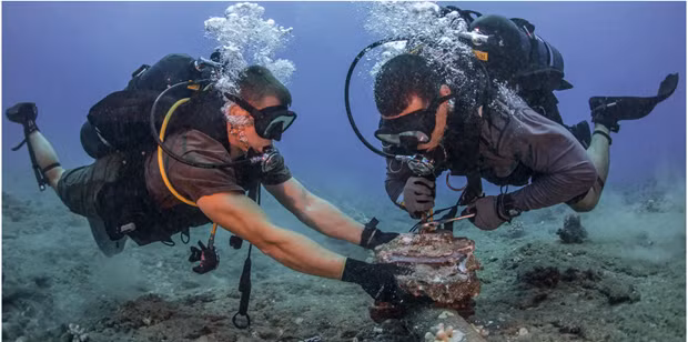 附图。（图片来源：businessinsider）