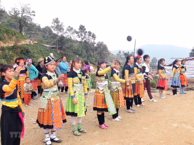 附图。（图片来源：越通社）