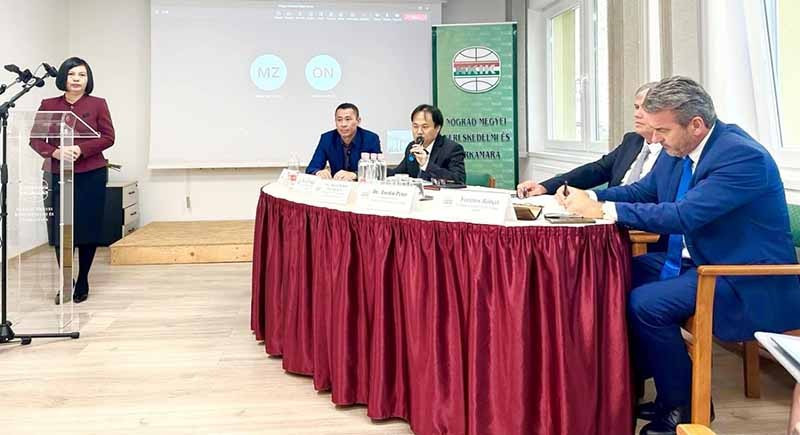 促进越南与匈牙利经贸关系的研讨会。