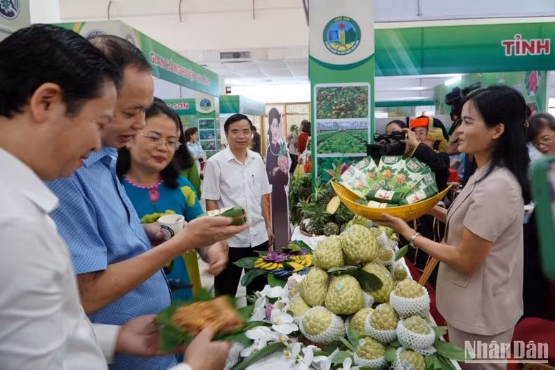 2023年，芝陵县番荔枝种植面积预计超过2300公顷，产量预计为2万吨（包括反季番荔枝），收入约为7000亿越盾； 根据GlobalGAP标准种植面积为35公顷，根据VietGAP标准生产为800公顷。