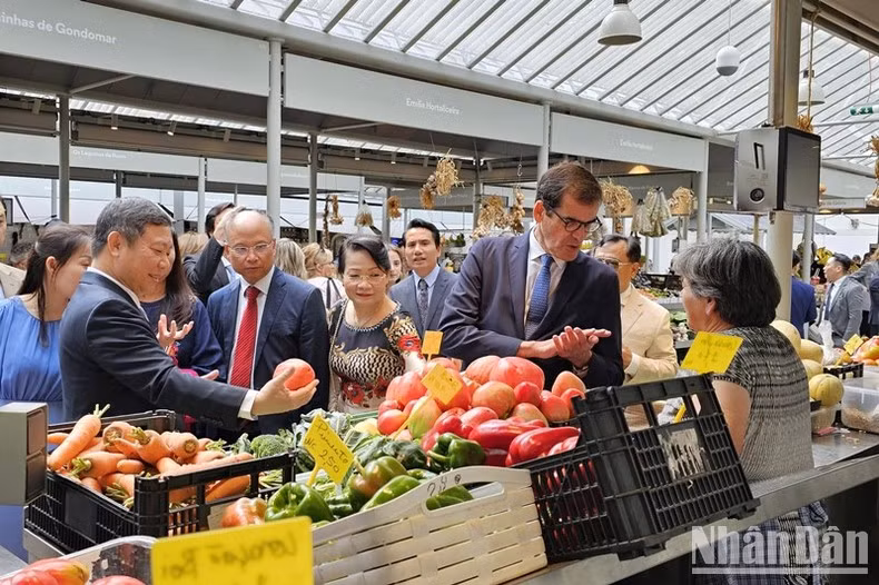 胡志明市人民委员会代表团参观了历史最悠久的市场Bolhão市场。