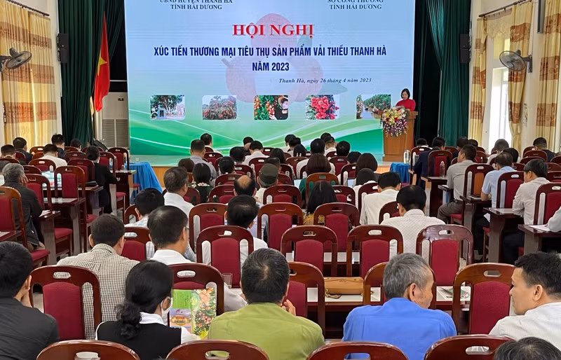 2023年荔枝消费促进会。