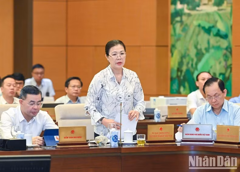 越南祖国阵线中央委员会副主席张氏玉映在会上发表讲话。