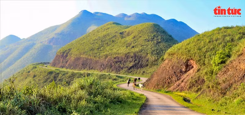 秋天里的平辽边境公路。