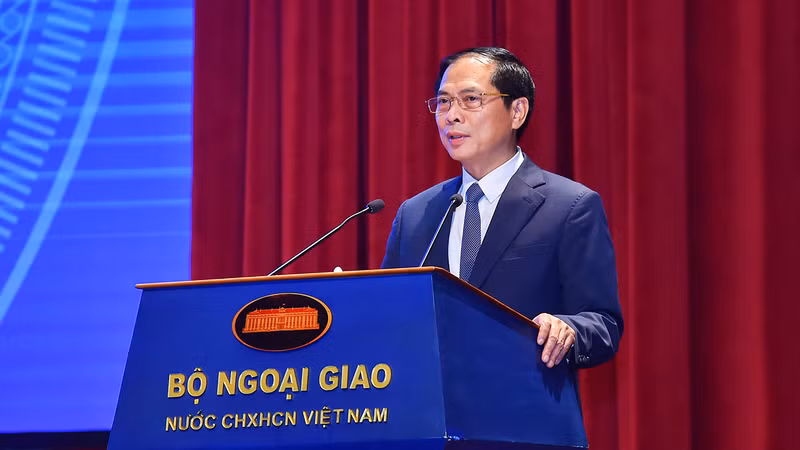 越共中央委员、外交部长裴青山在会议上发言。（图片来源：VGP）