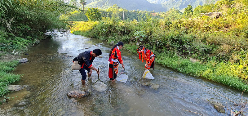到宣光省旅游，游客可以与这里的少数民族一起体验许多农业体验。（图片来源：投资报）