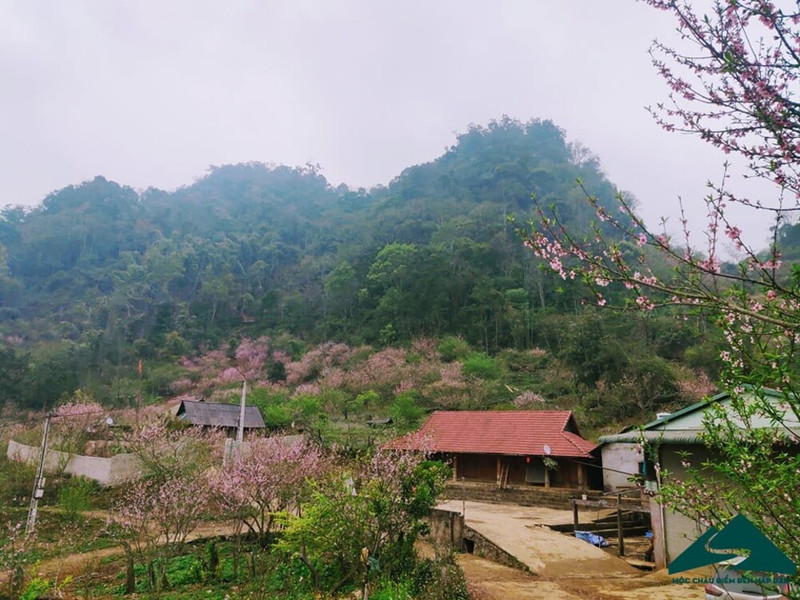 在西北漫山遍野中，粉艳妩媚的桃花很容易让人惊奇、惹人迷醉。
