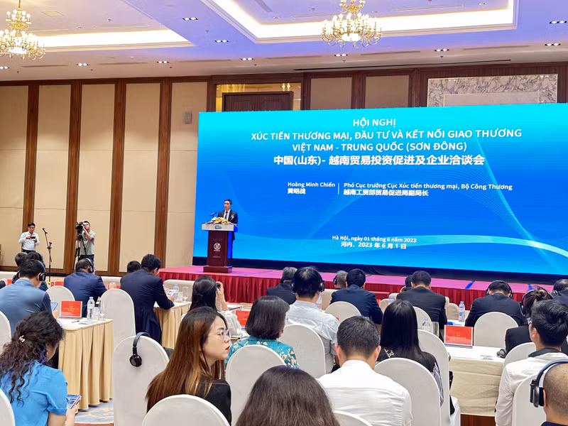 越南工贸部贸易促进局副局长黄明战在会上发表讲话。（图片来源：越通社）