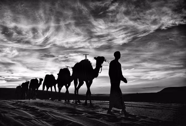 越南《劳动报》记者越文荣获银牌的作品。