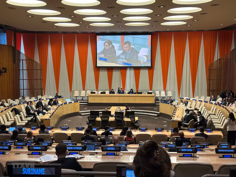  4月24日，越南常驻联合国代表团团长邓黄江大使以77届联合国大会副主席身份共同主持了庆祝国际地球母亲日的会议。（图片来源：越通社）