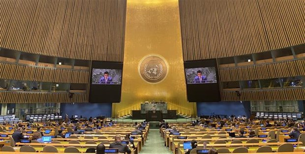 越南常驻联合国代表团团长邓黄江大使在会上发表讲话。（图片来源：越通社）